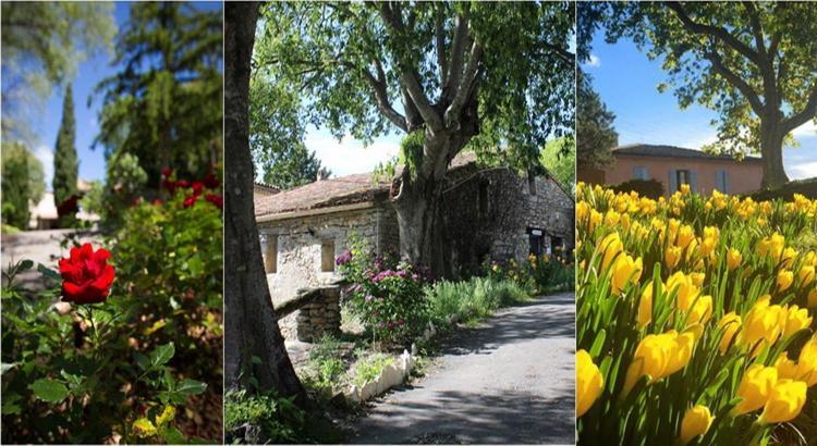 Le Hameau De L'Etoile Saint-Martin-de-Londres Bagian luar foto